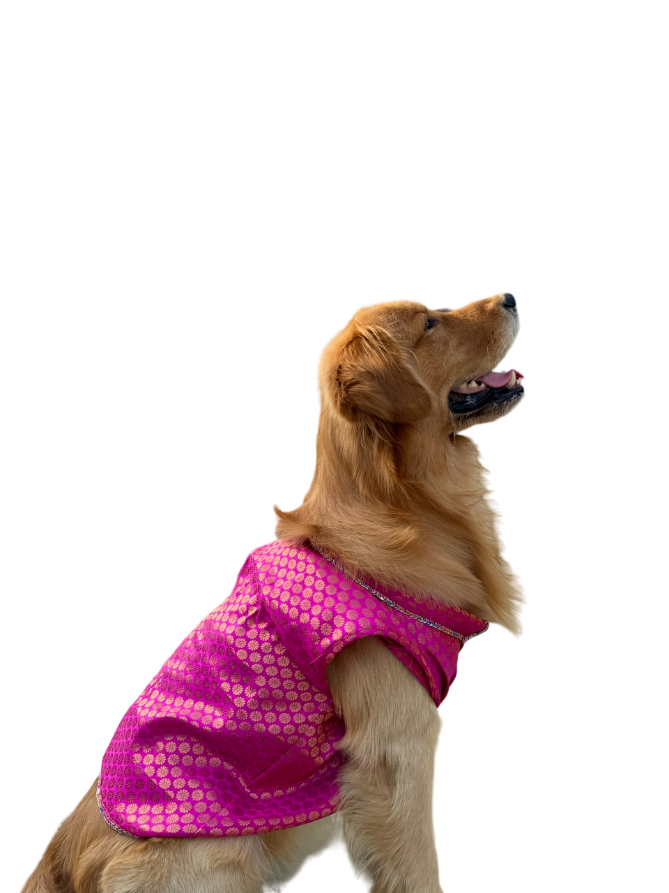 Pyaar Bhara Pink Dog Kurta