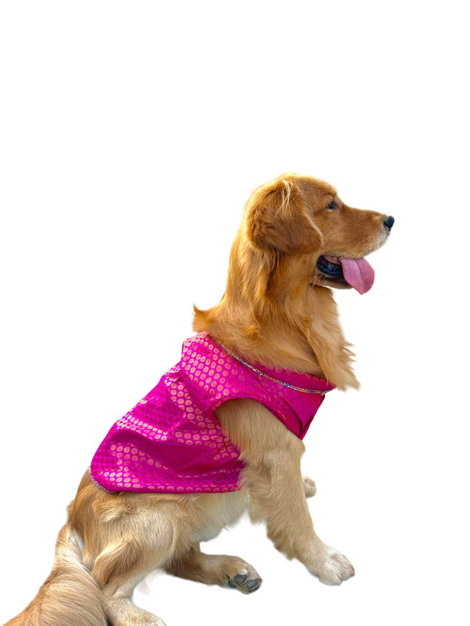 Pyaar Bhara Pink Dog Kurta