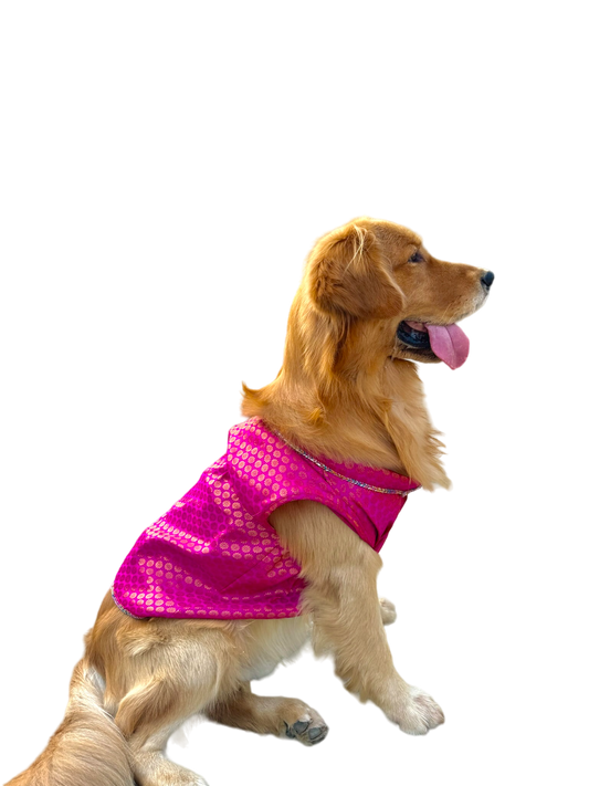 Pyaar Bhara Pink Dog Kurta