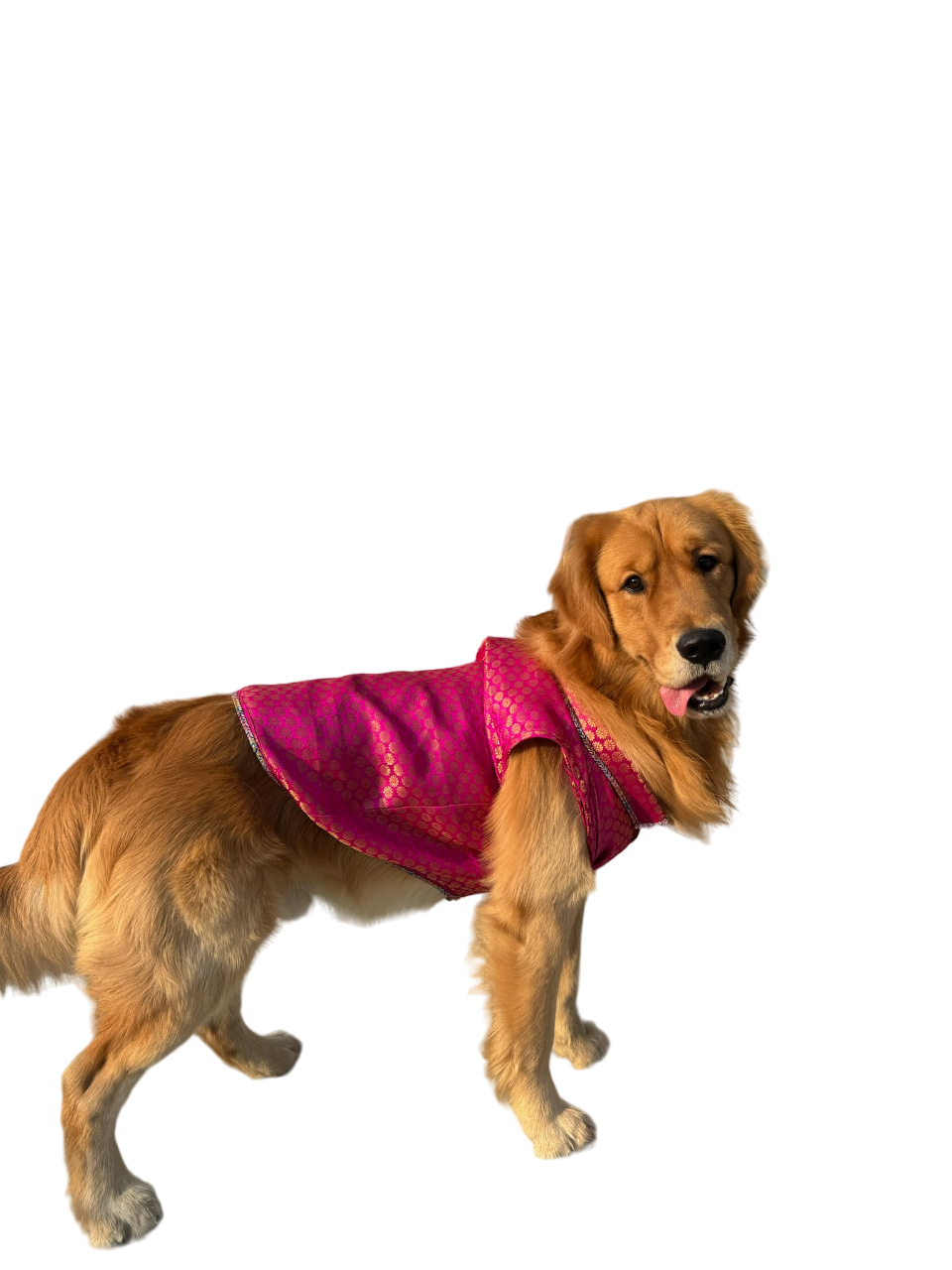 Pyaar Bhara Pink Dog Kurta