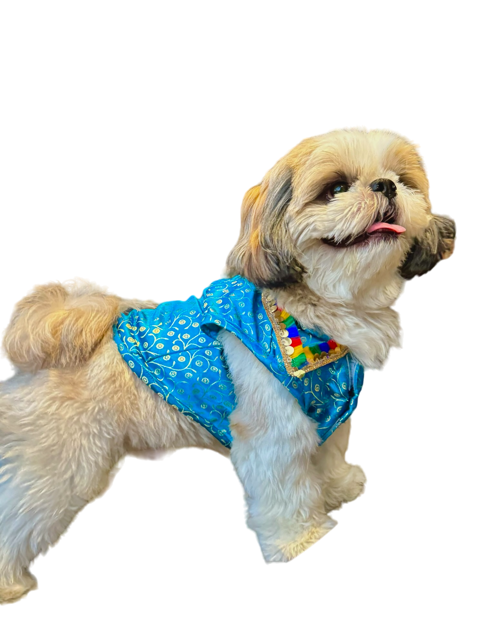 Aasmani Festive Dog Kurta