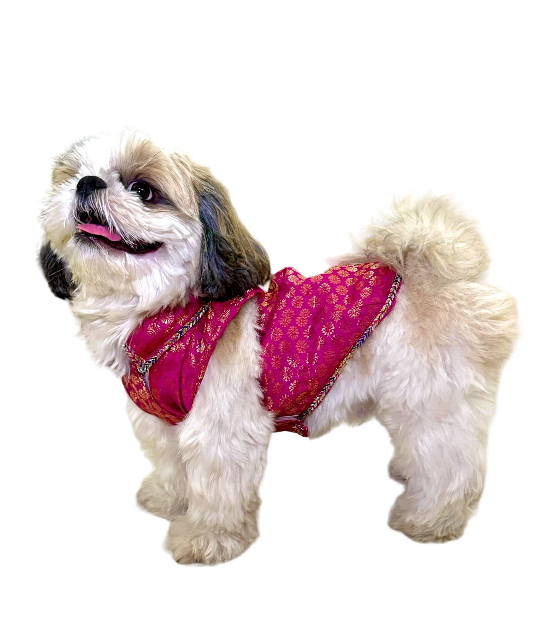 Pyaar Bhara Pink Dog Kurta