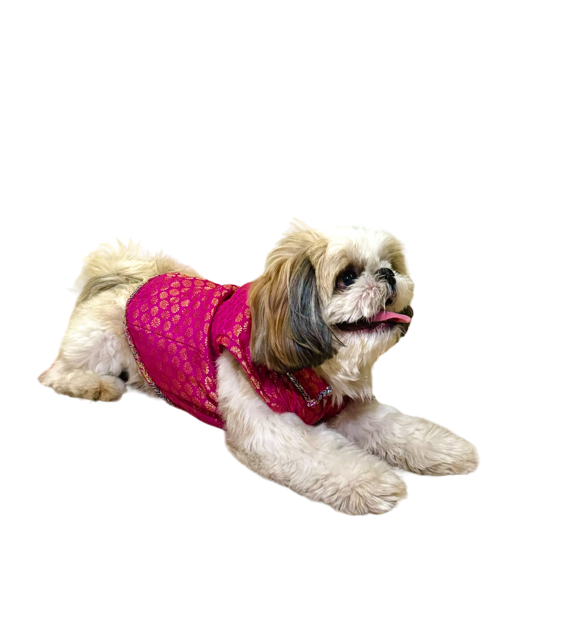 Pyaar Bhara Pink Dog Kurta