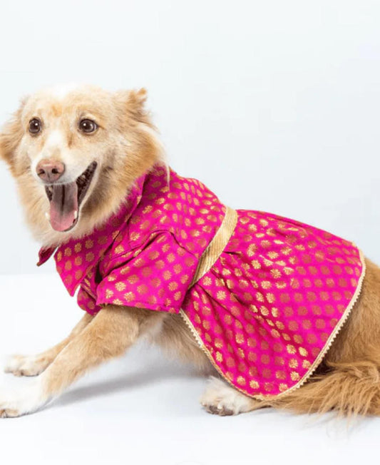 Pyaar Bhara Pink Dog Lehenga